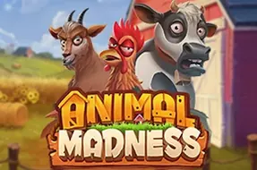 Animal Madness
